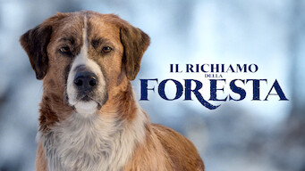 Il richiamo della foresta (2020)