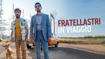 Fratellastri in viaggio (2020)